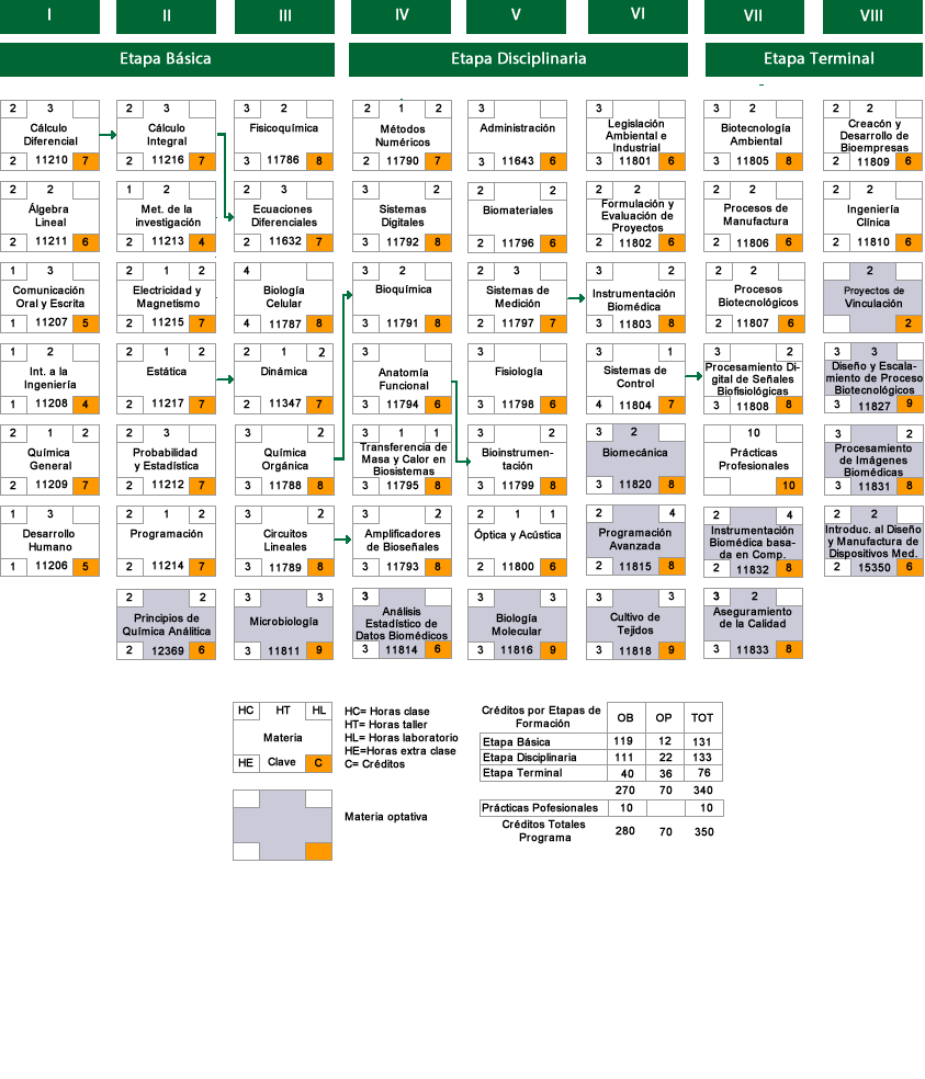 Mapa Curricular.fw