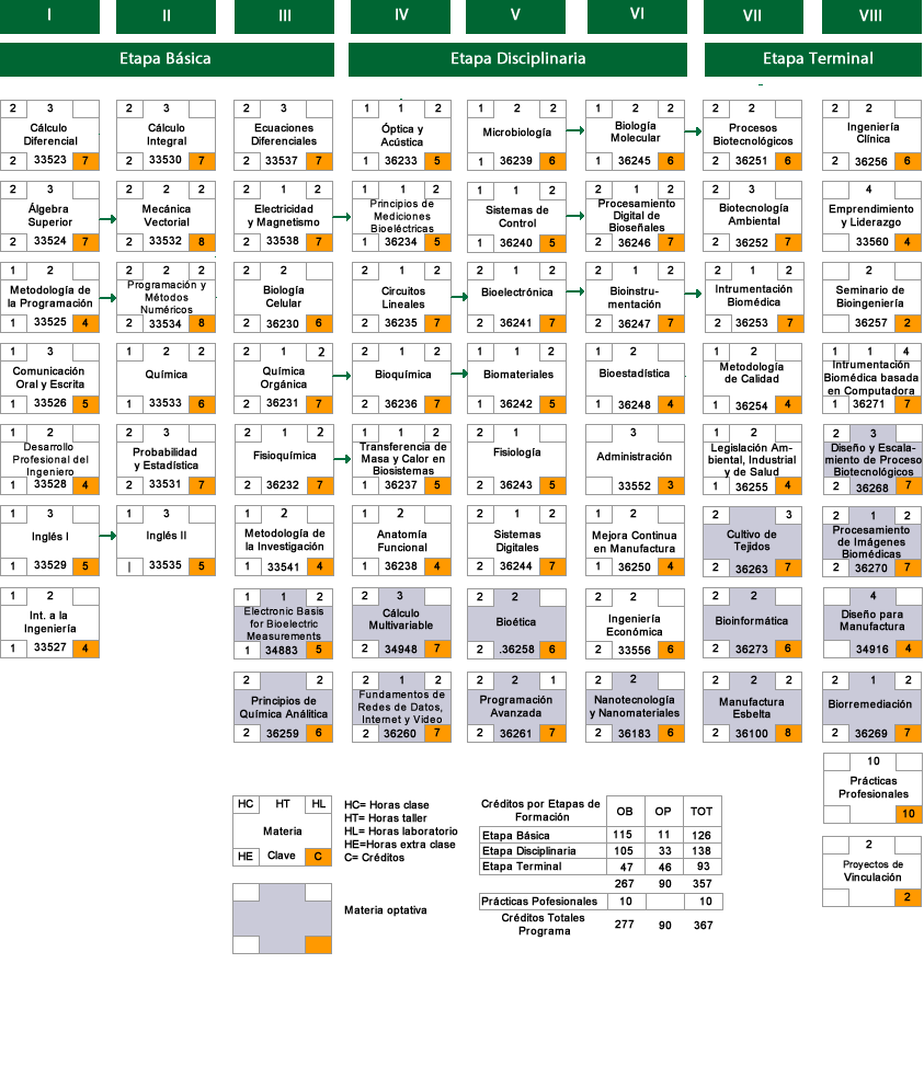 Mapa Curricular.fw