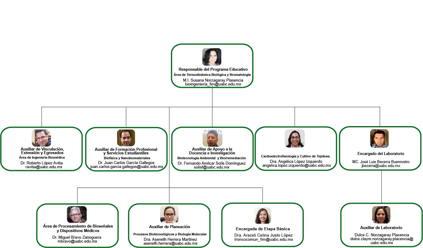 organigramape
