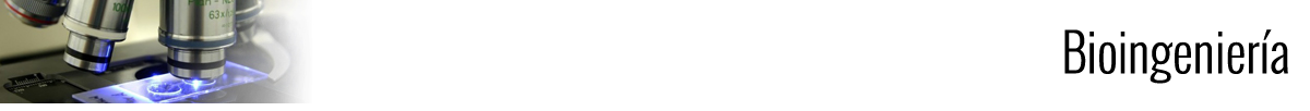 banner ic