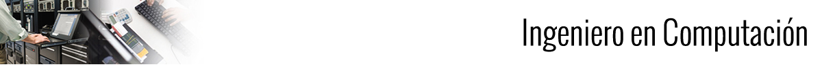 banner ic